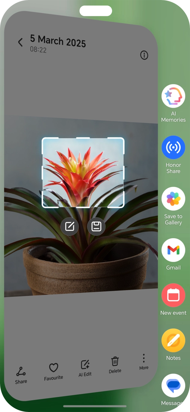 Press the required app and follow the instructions on the screen to use the function.