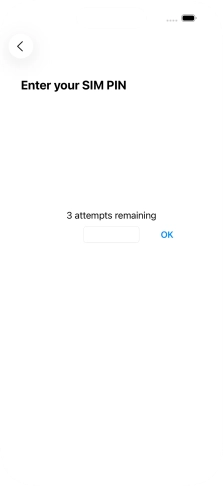 If your SIM is locked, key in your SIM PIN and press OK. The default SIM PIN is 0000.