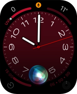 Say, in your own words, what you would like your Apple Watch to do.