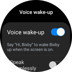 Press the indicator next to 'Voice wake-up' to turn the function on or off.