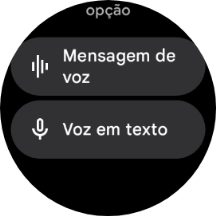 Prima Voz em texto.