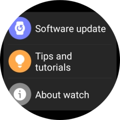 Press Software update.