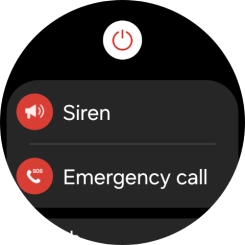 Press Siren and follow the instructions on the screen to start and stop the siren.