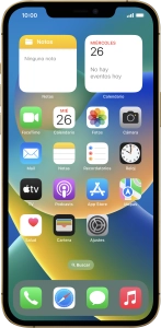 Apple iPhone 12 Pro Max