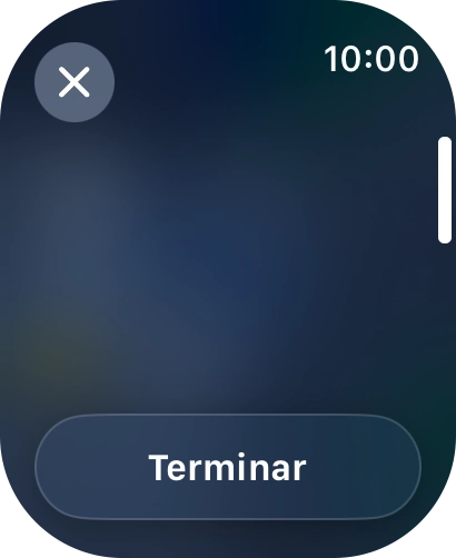 Prima Terminar.