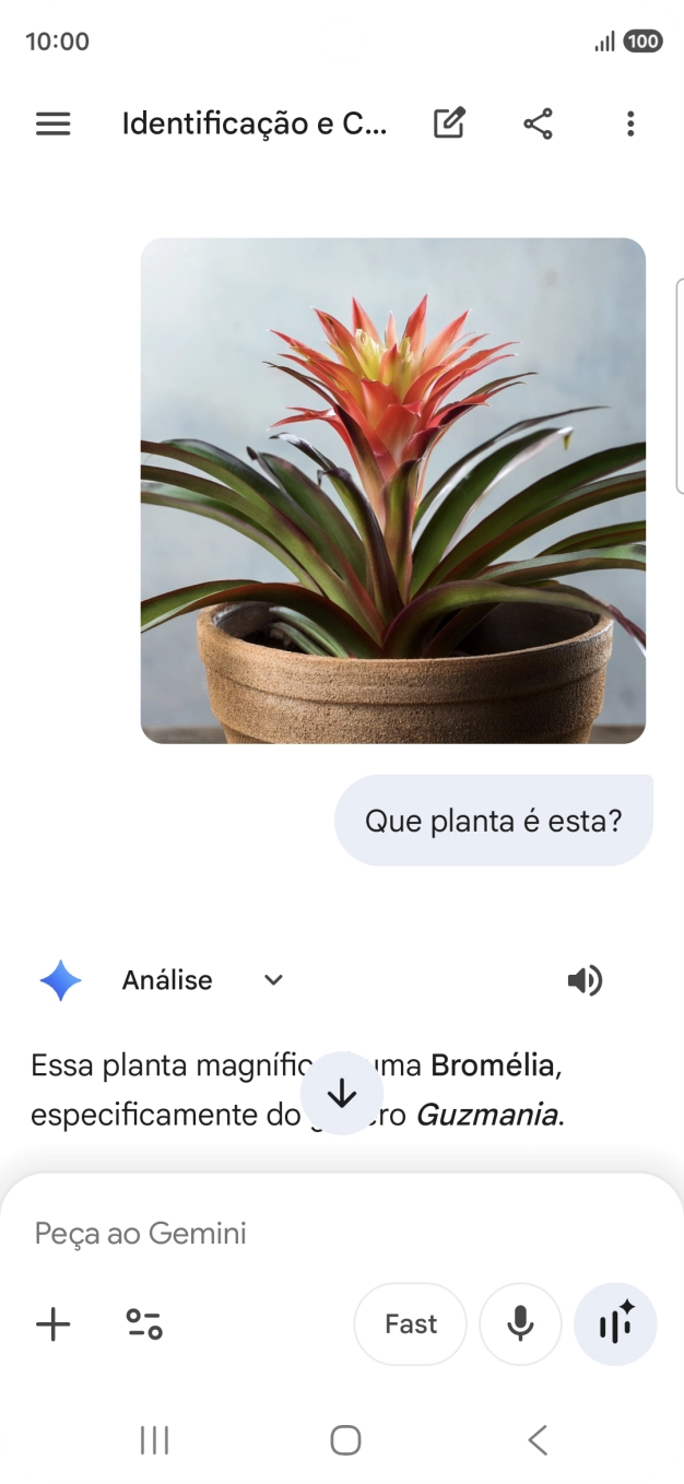 Siga as indicações no ecrã para escrever ou ditar a pergunta pretendida. Pode também anexar imagens ou documentos e fazer perguntas a respeito destes.