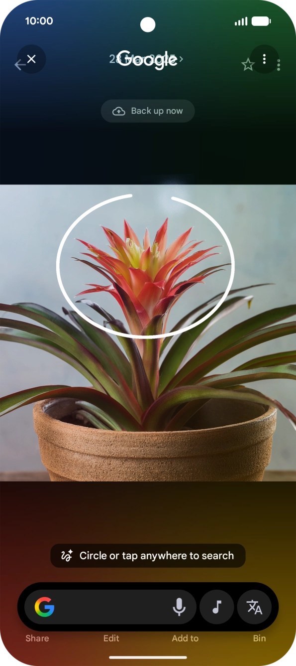 Draw a circle around the required object on the picture and wait for the search results. Draw a circle around the required object on the picture and wait for the search results.