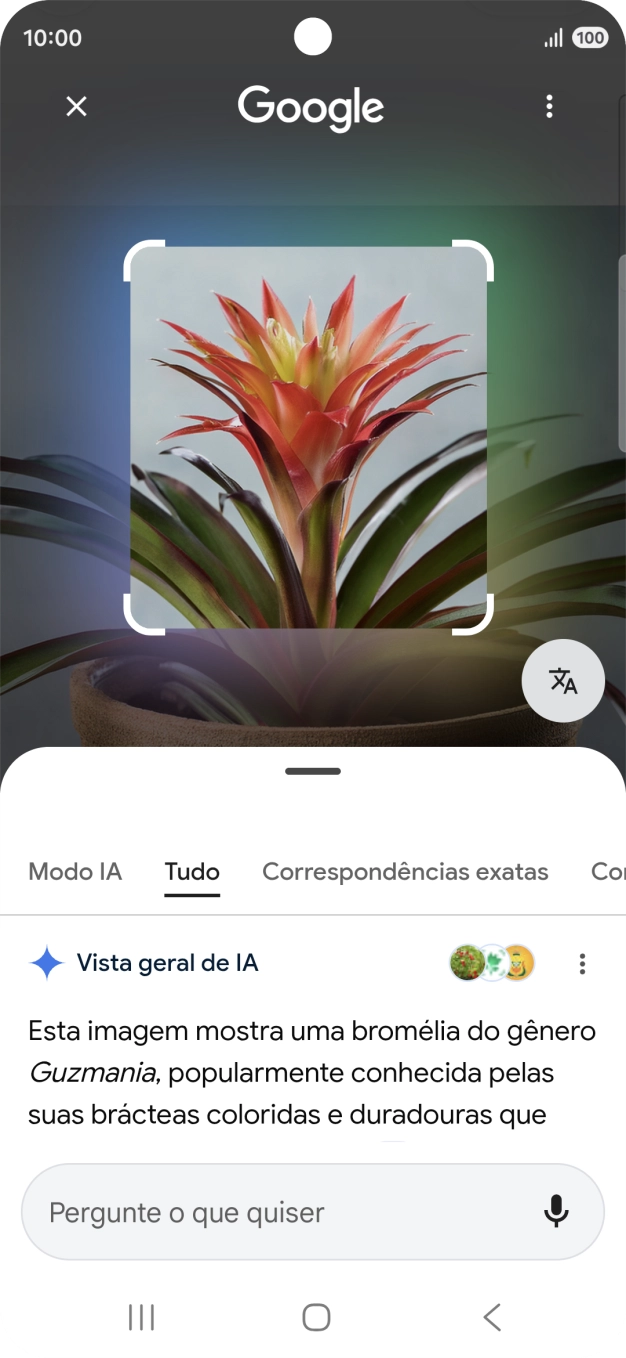 Siga as indicações no ecrã  para utilizar os resultados da pesquisa.