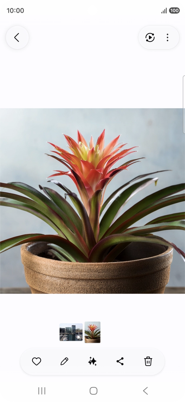 Dirija-se à imagem pretendida.