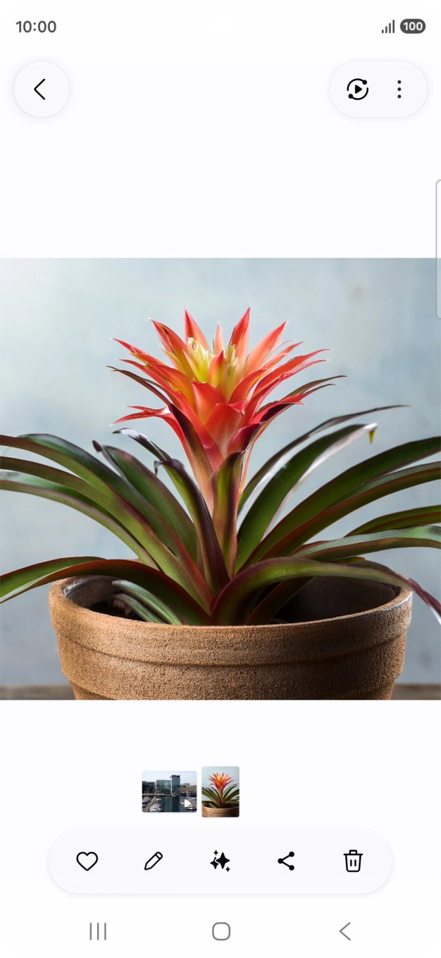 Dirija-se à imagem pretendida.