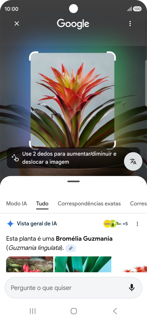 Siga as indicações no ecrã  para utilizar os resultados da pesquisa.