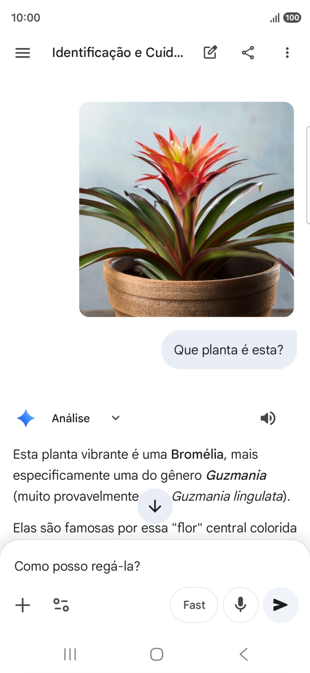 Siga as indicações no ecrã para escrever ou ditar perguntas, para continuar a conversa.