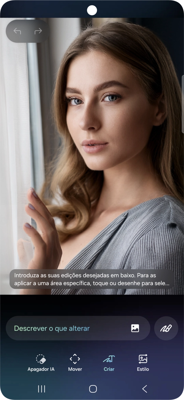 Prima Descrever o que alterar e escreva, nas suas palavras, que alterações ou adições pretende operar na imagem.