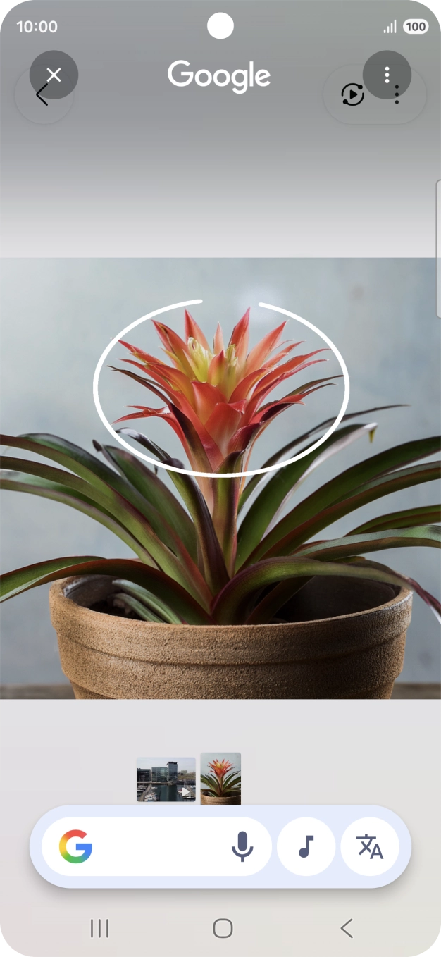 Desenhe um círculo em volta do objeto pretendido na imagem e utilize os resultados da pesquisa.