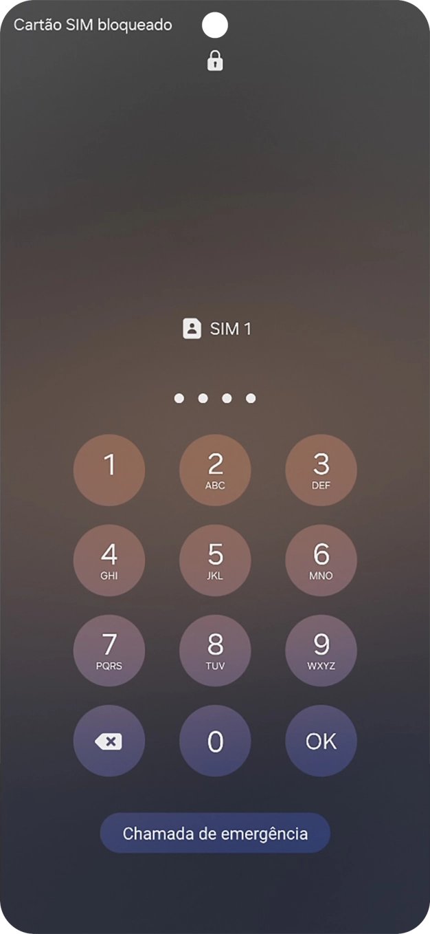 Se o cartão SIM estiver bloqueado, deve introduzir o código PIN e premir OK.