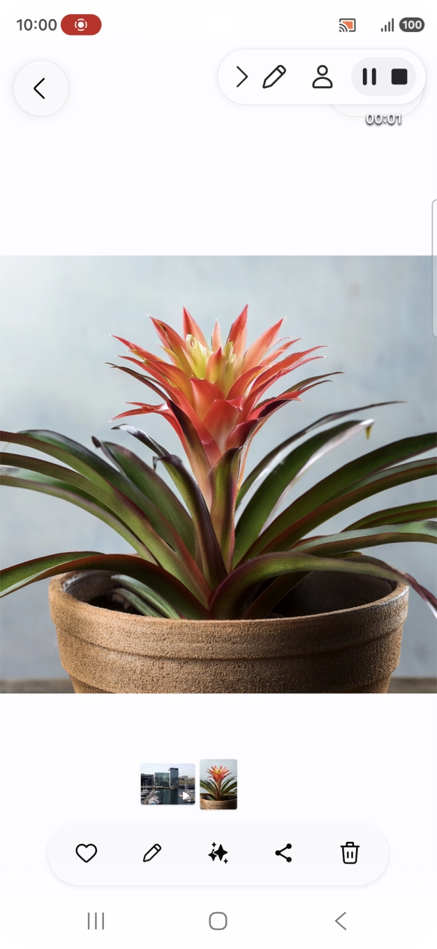 Press the stop icon to stop the recording.