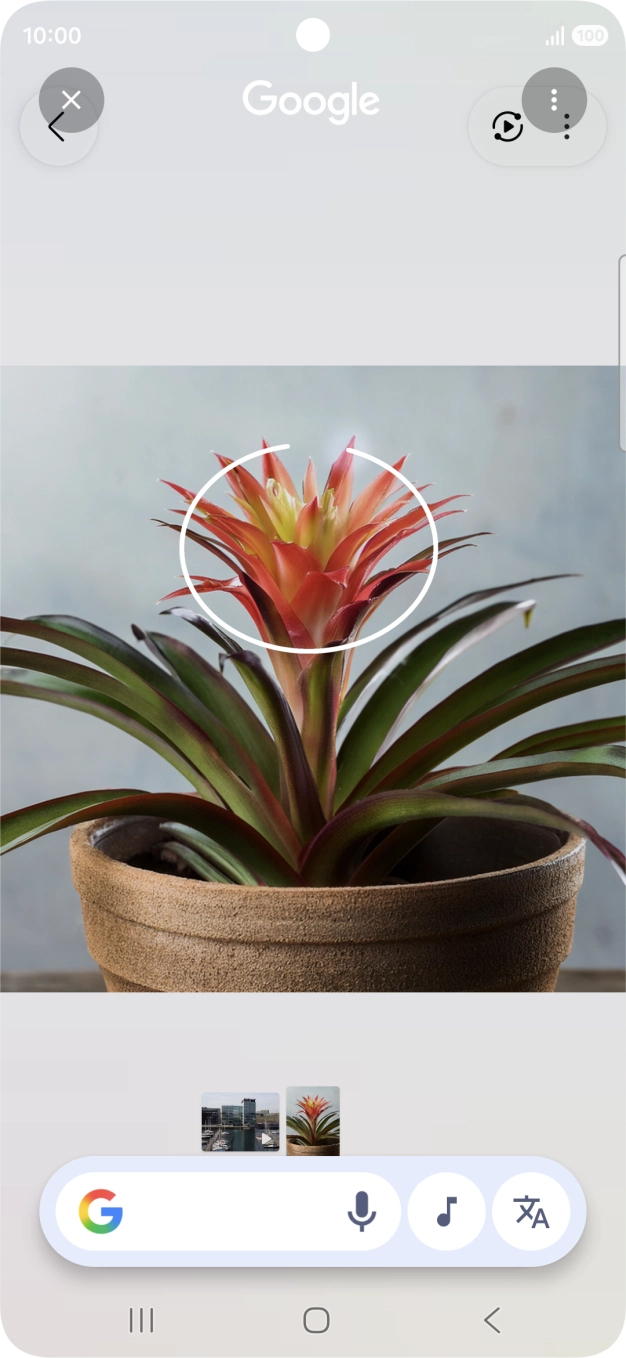 Desenhe um círculo em volta do objeto pretendido na imagem e utilize os resultados da pesquisa.