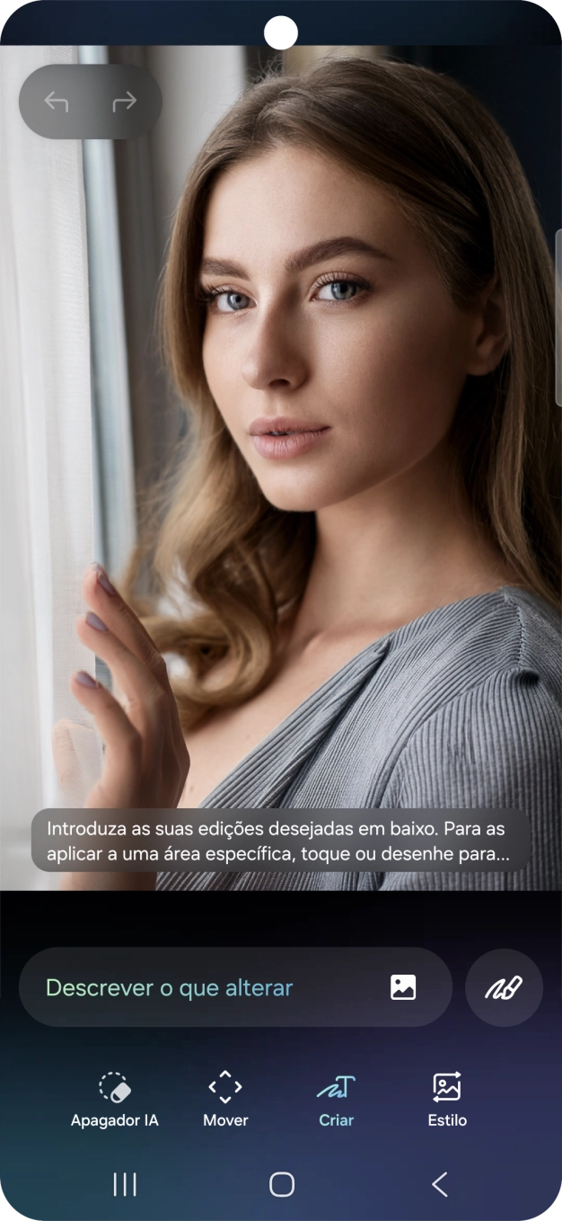 Prima Descrever o que alterar e escreva, nas suas palavras, que alterações ou adições pretende operar na imagem.