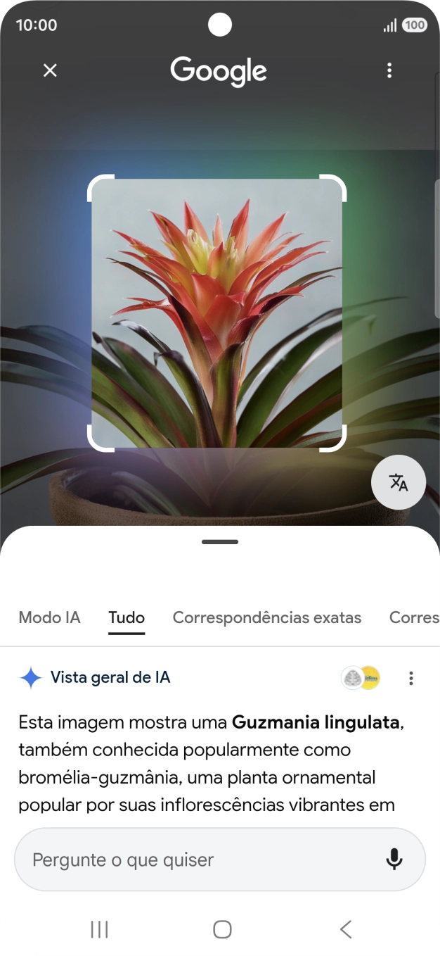 Siga as indicações no ecrã  para utilizar os resultados da pesquisa.
