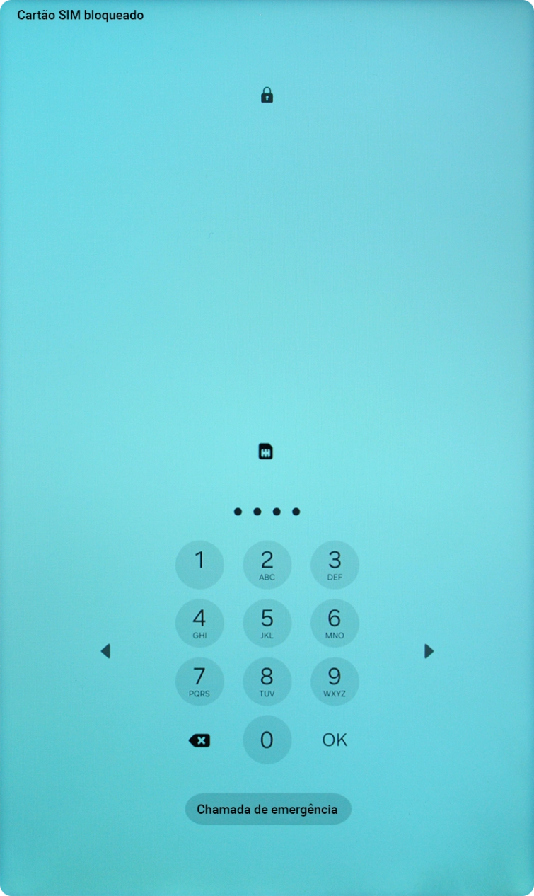 Se solicitado, deve introduzir o código PIN e premir OK.