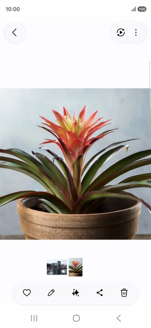 Dirija-se à imagem pretendida.