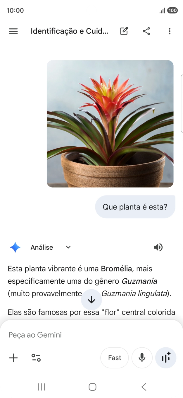 Siga as indicações no ecrã para escrever ou ditar a pergunta pretendida. Pode também anexar imagens ou documentos e fazer perguntas a respeito destes.