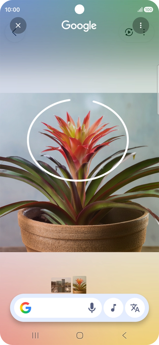 Desenhe um círculo em volta do objeto pretendido na imagem e utilize os resultados da pesquisa.