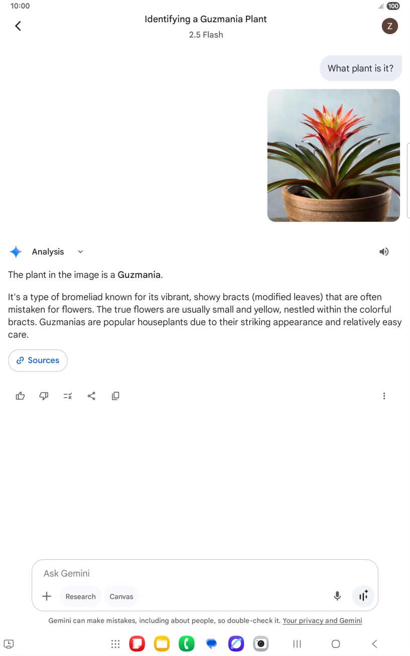 Follow the instructions on the screen to type or speak the required question. You can also attach pictures or documents and ask questions to them.