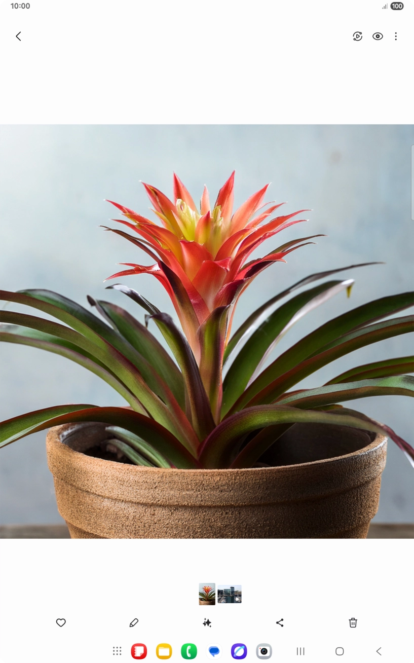 Go to the required picture.