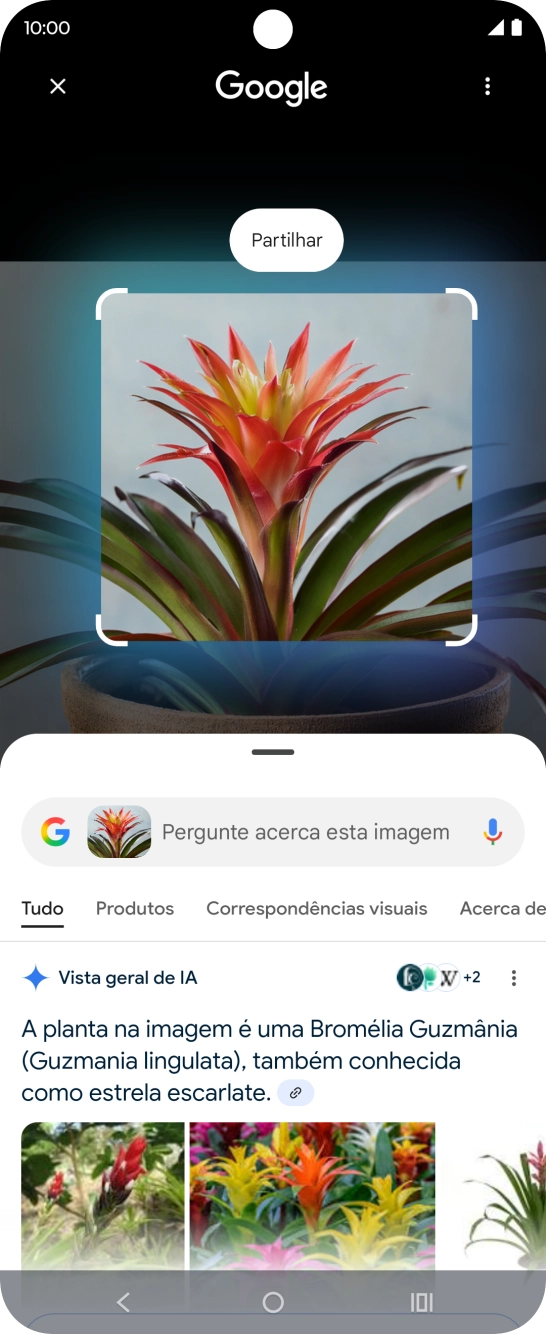 Siga as indicações no ecrã  para utilizar os resultados da pesquisa.