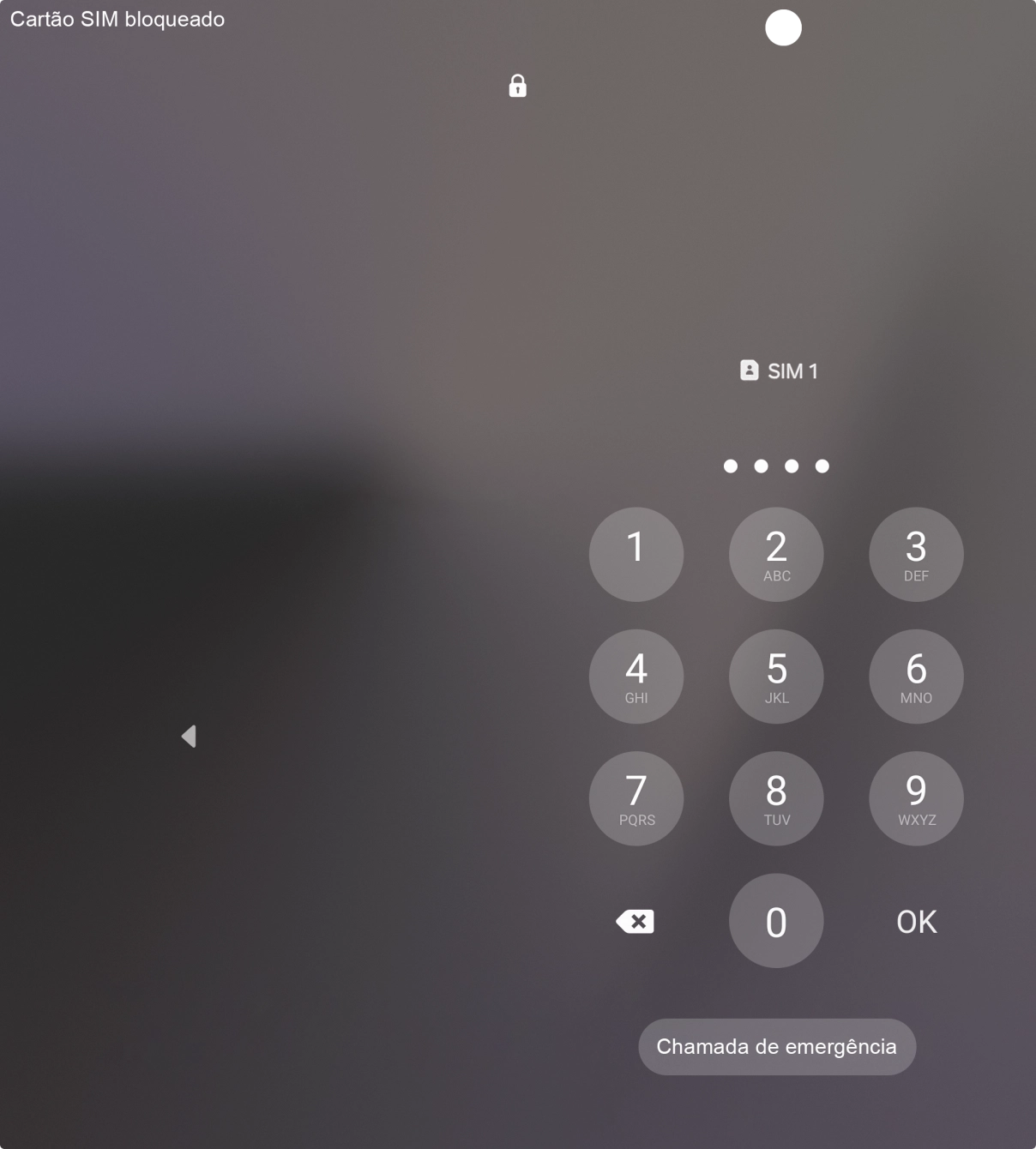 Se o cartão SIM estiver bloqueado, deve introduzir o código PIN e premir OK.