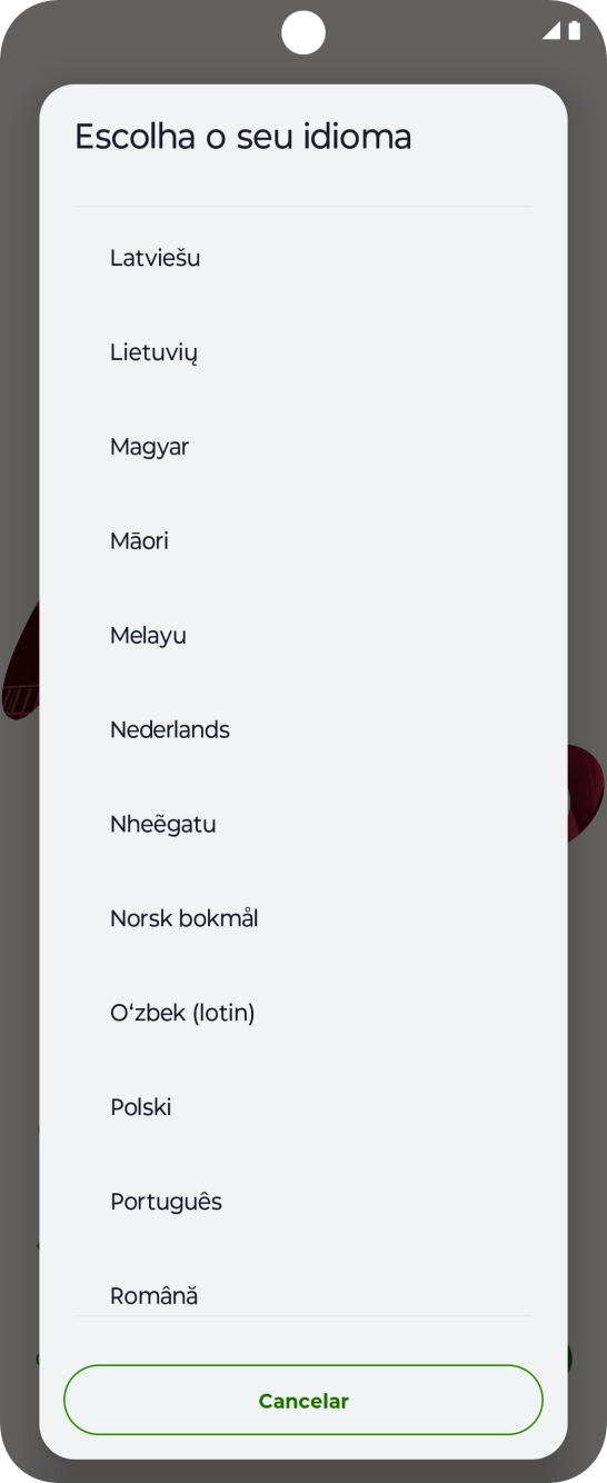 Prima o idioma pretendido.