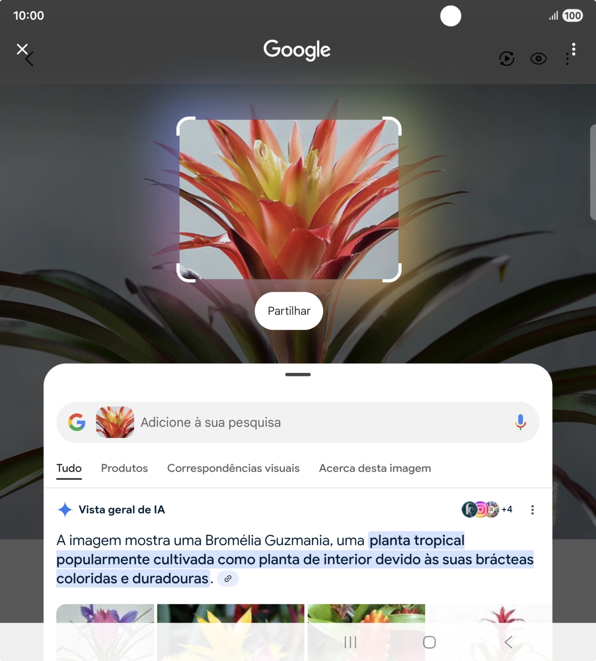Siga as indicações no ecrã  para utilizar os resultados da pesquisa.