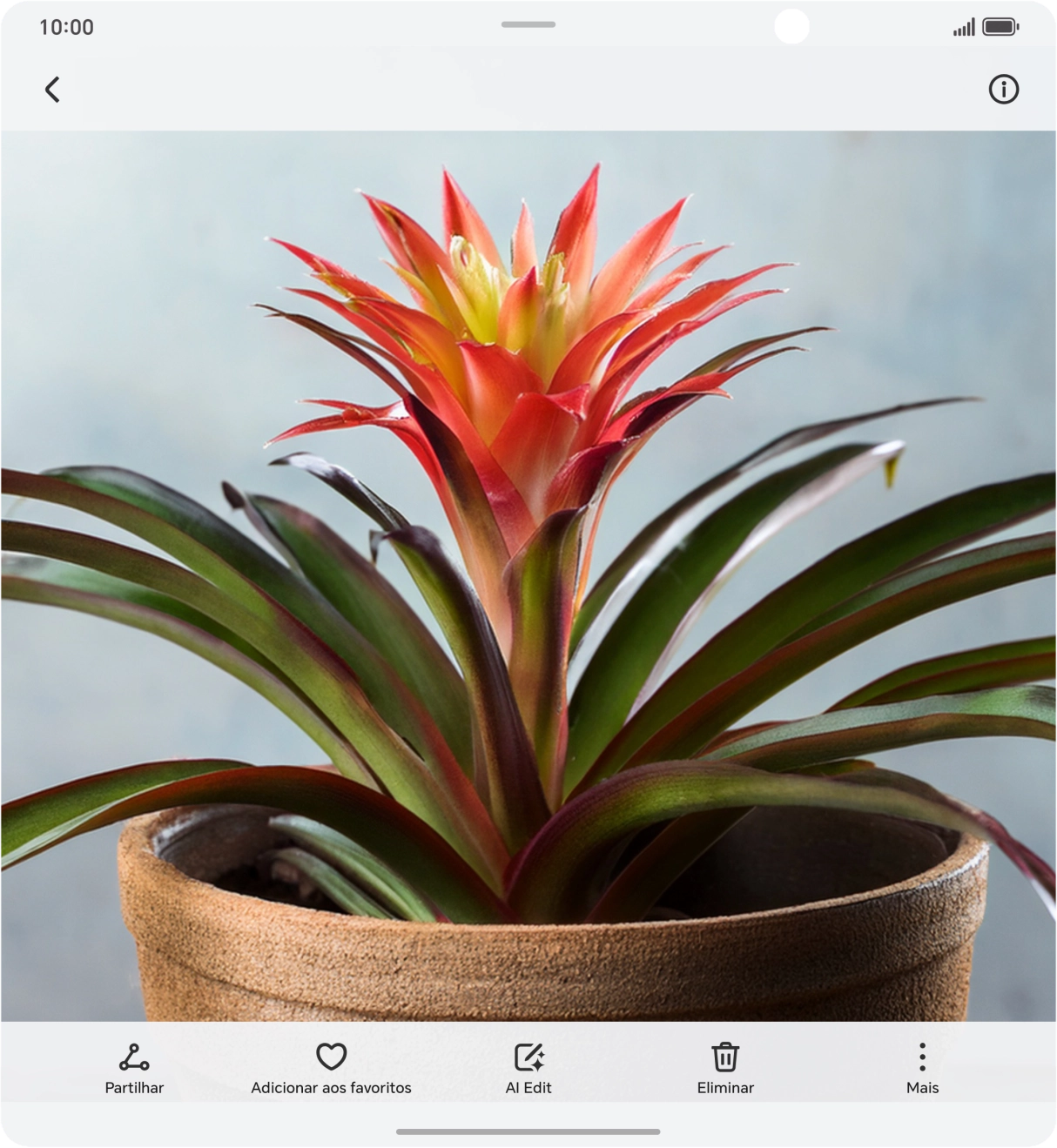 Prima a tecla de início e mantenha premida durante uns instantes.