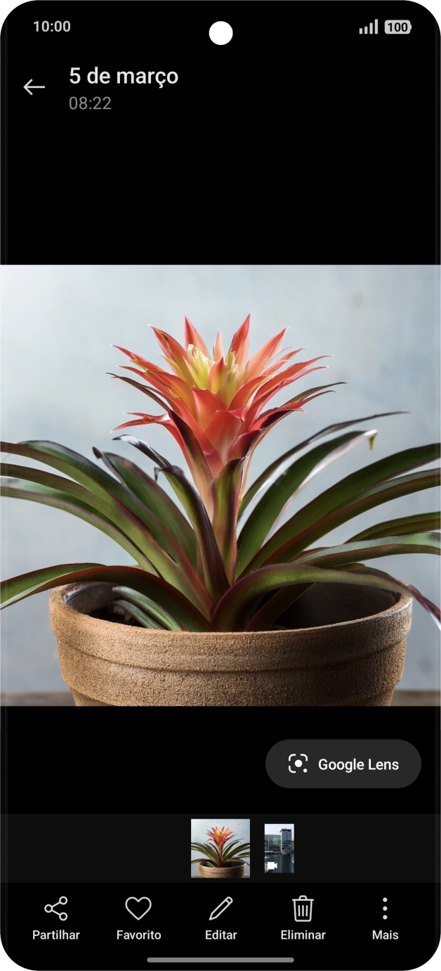 Dirija-se à imagem pretendida.