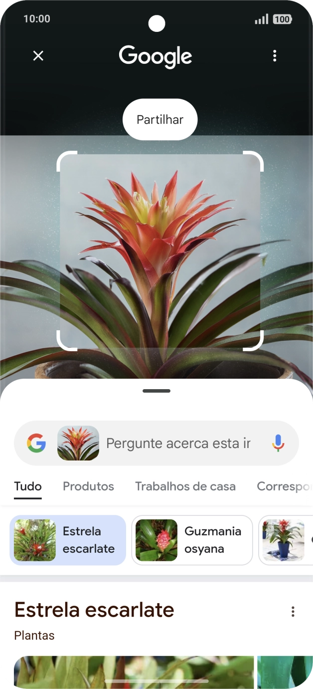 Siga as indicações no ecrã  para utilizar os resultados da pesquisa.
