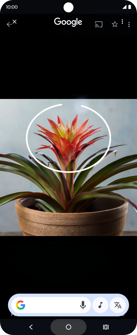 Desenhe um círculo em volta do objeto pretendido na imagem e utilize os resultados da pesquisa.