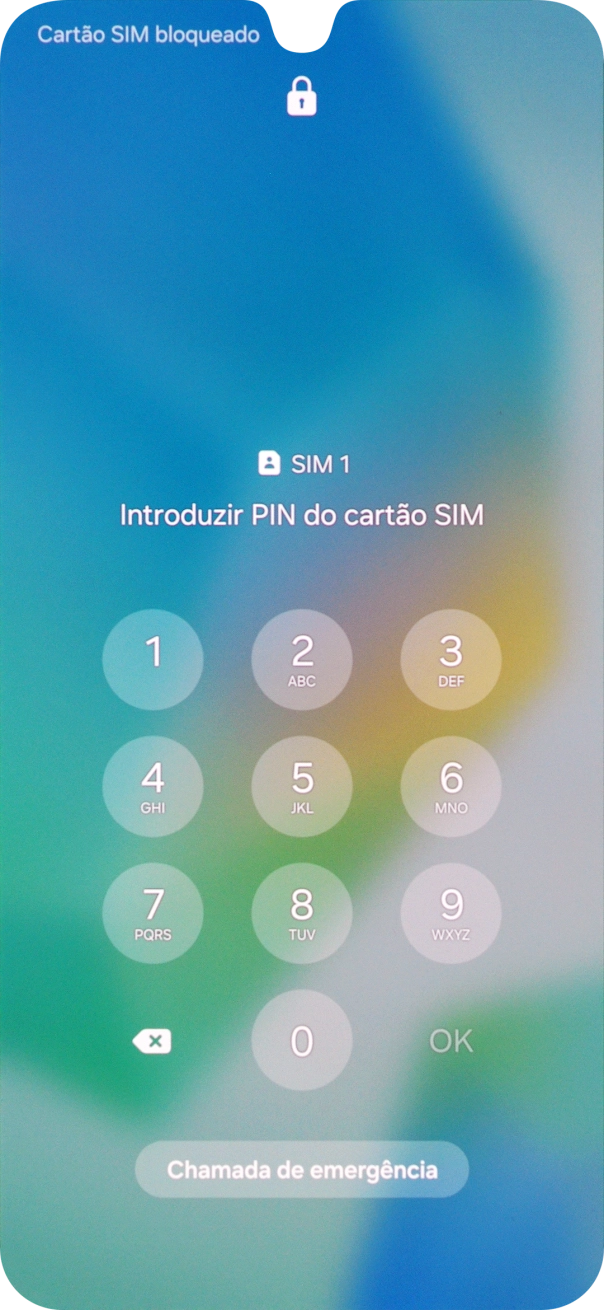 Se o cartão SIM estiver bloqueado, deve introduzir o código PIN e premir OK.