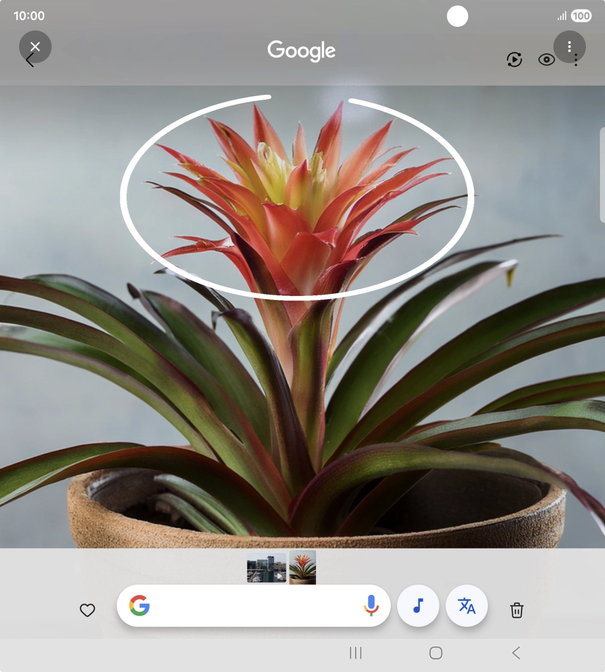 Desenhe um círculo em volta do objeto pretendido na imagem e utilize os resultados da pesquisa.