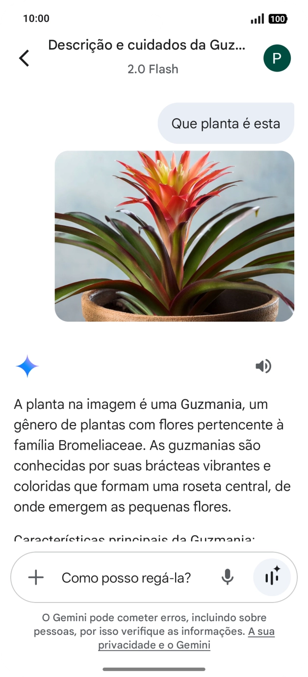 Siga as indicações no ecrã para escrever ou ditar perguntas, para continuar a conversa.