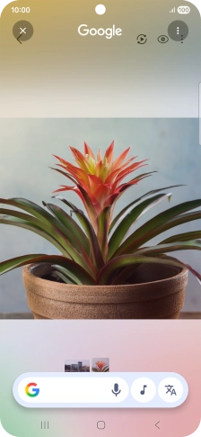 Draw a circle around the required object on the picture and wait for the search results.