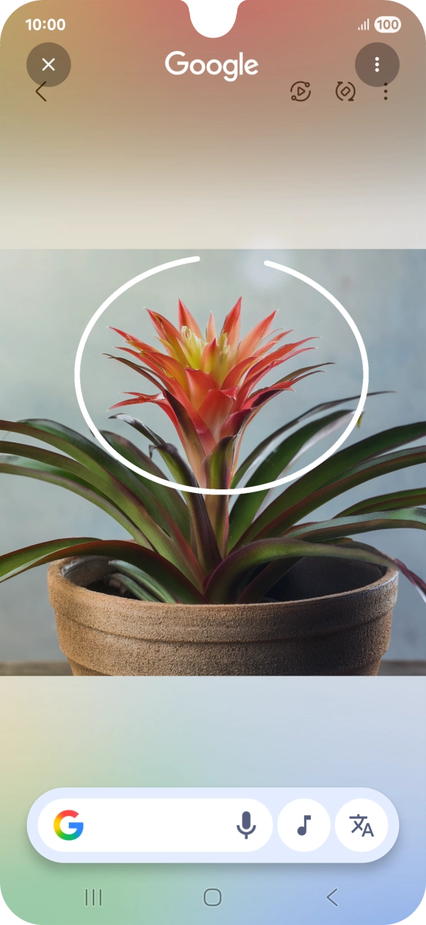 Draw a circle around the required object on the picture and wait for the search results.