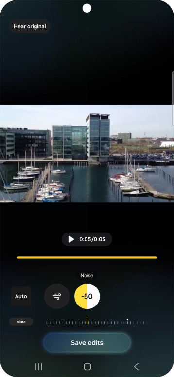 Press Mute to completely remove the selected audio type from the video.