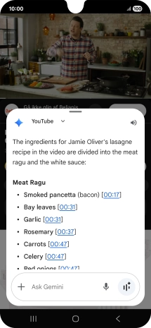 The answer from Gemini to your question is displayed.