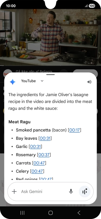 The answer from Gemini to your question is displayed.
