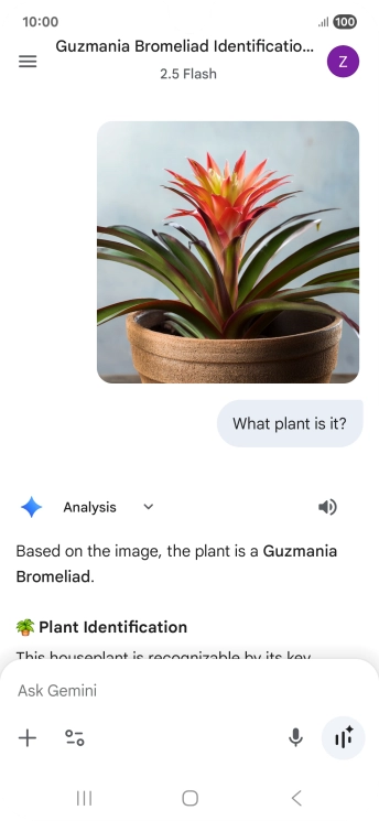 Follow the instructions on the screen to type or speak the required question. You can also attach pictures or documents and ask questions to them.