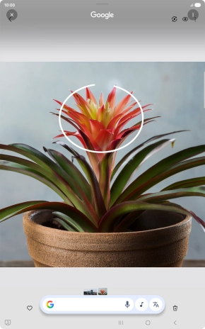 Draw a circle around the required object on the picture and wait for the search results.