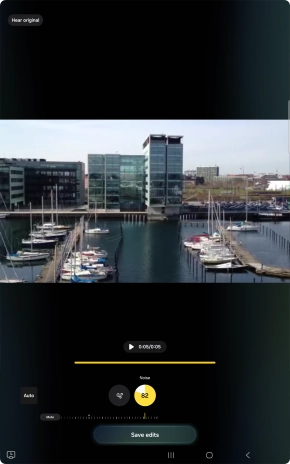 Press Mute to completely remove the selected audio type from the video.