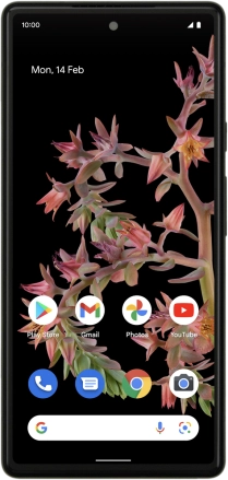 Image 1: Front view of the Google Pixel 6