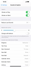 strongest vibrating butt plug How to Turn Off Vibration on iPhone When Set on Silent main image 1